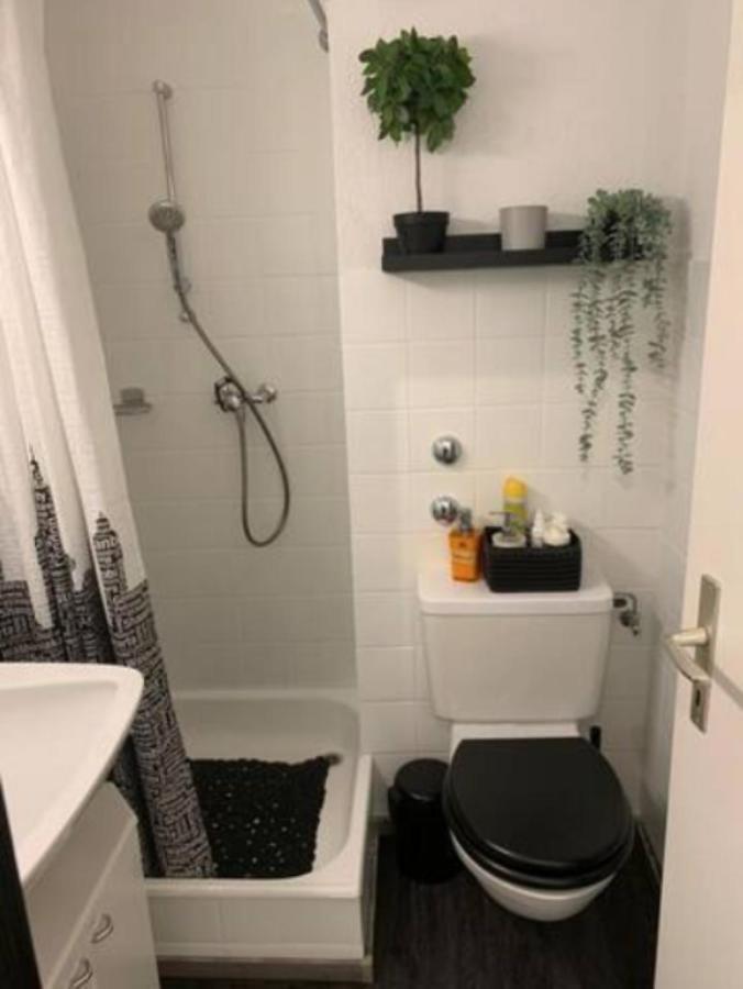 Apartment Lovely 1-bedroom Vacation With Pool And Sauna Laax
